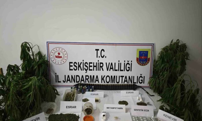 Kenevir bitkisi ekimi yapılan ikamete operasyon düzenledi