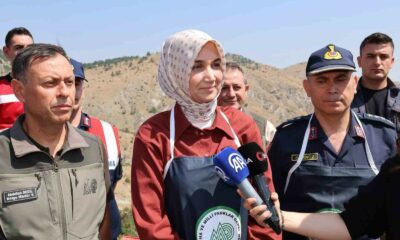 Vali Yiğitbaşı: “Kenelere karşı keklik timi görevde”