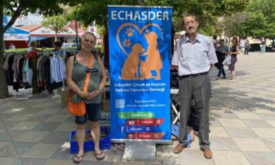 Sokak hayvanlarına bakım evi yapılması için panayır kuruldu