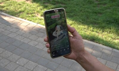 Köpeklerin dövüştürüldüğü video tepki topladı