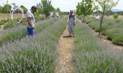 Hobiyle başladılar, geçim kaynağına dönüştü