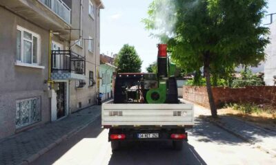 Tepebaşı haşerelere karşı sahada