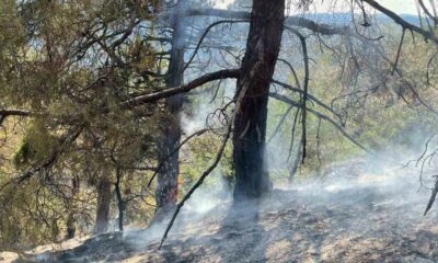 Yıldırım düşmesi sonucu çıkan orman yangını havadan müdahale ile söndürüldü