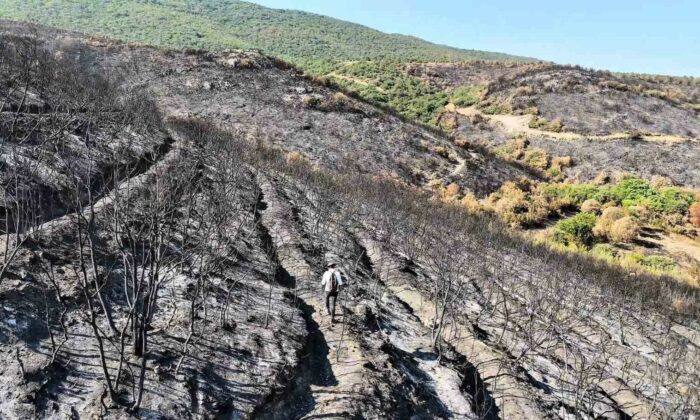 Bilecik’te orman yangını sonrası yürek burkan manzara havadan görüntülendi