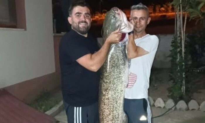 Bilecik’te dev yayın balığını tutuldu