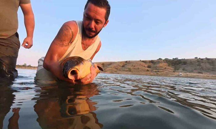 Yakaladıkları balıkları gelecek nesiller için serbest bırakıyorlar