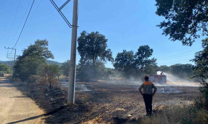 Bilecik’te ormanlık alana sıçrayan yangına müdahale ediliyor