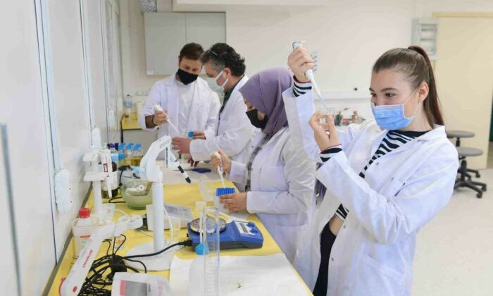 Anadolu Üniversitesi ara eleman değil, aranan mezunlar yetiştiriyor