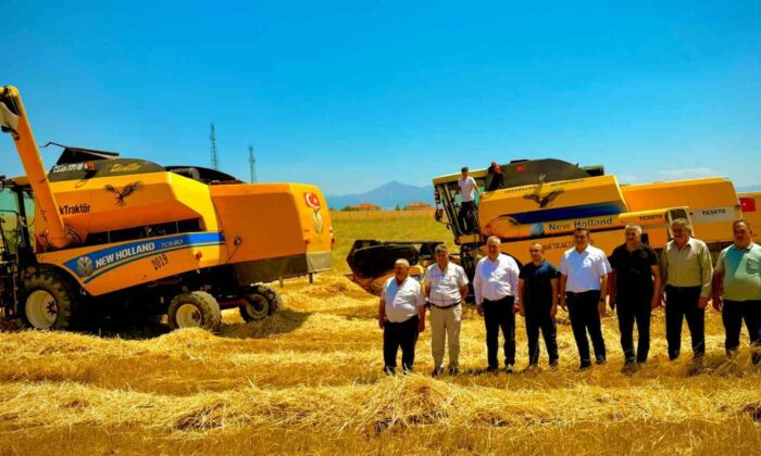 Belediyeye ait 850 dekarlık alana ekilen buğdayın hasadı yapıldı