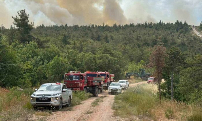 Bilecik’te 2 köyün tahliye edildiği yangın kontrol altına alındı
