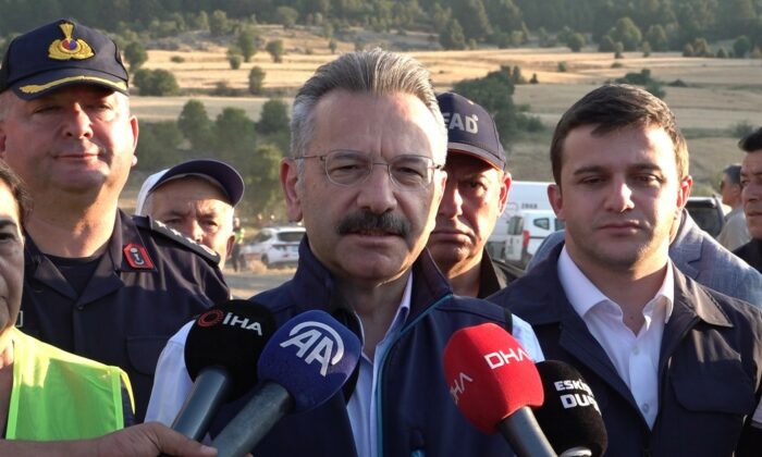 Eskişehir Valisi Aksoy: “Yangında 60 hektar alan zarar gördü”