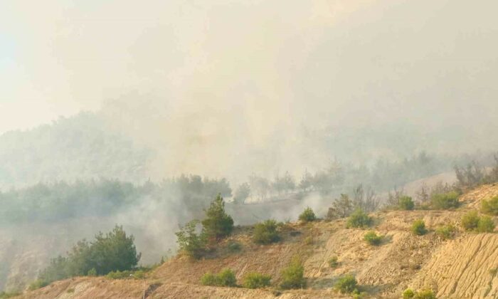 Tarihi İpek Yolu yanıyor