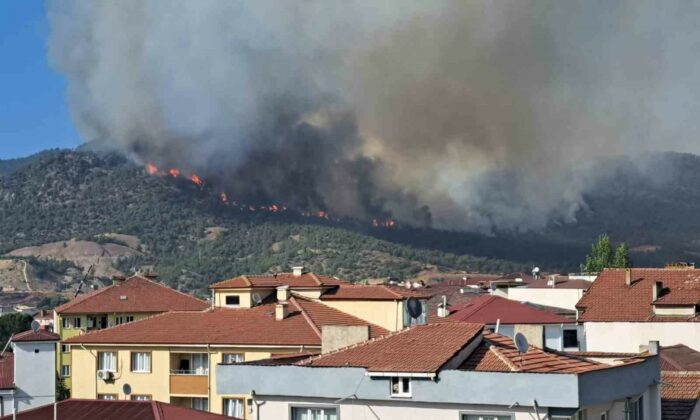 Alevler YHT besleme trafosuna yaklaşınca tedbir alındı