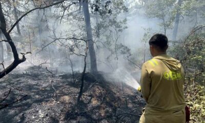 Eskişehir’deki yangının 30’uncu saatinde kontrol altına alın bazı bölgelerde yeniden alevler yükseldi