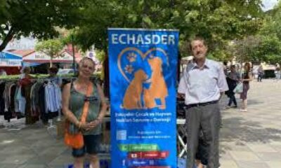 Sokak hayvanlarına bakım evi yapılması için panayır kuruldu