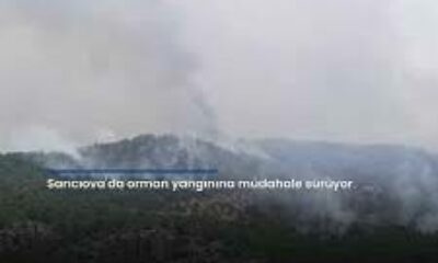 Sarıcıova’da orman yangınına müdahale sürüyor