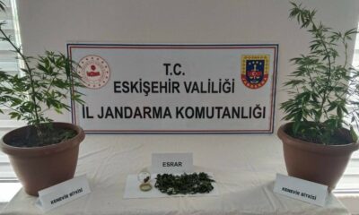 Balkondaki saksıların içinde 2 kök kenevir ve 47 gram esrar maddesi ele geçirildi