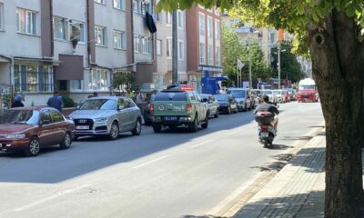 Polis ekipleri kedi ölümleriyle ilgili çalışma başlattı
