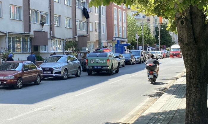 Polis ekipleri kedi ölümleriyle ilgili çalışma başlattı