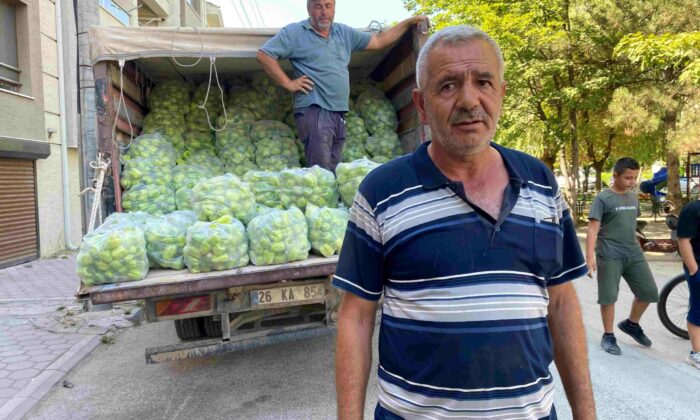 Yaklaşık 5 ton dolma biberi ücretsiz dağıttı