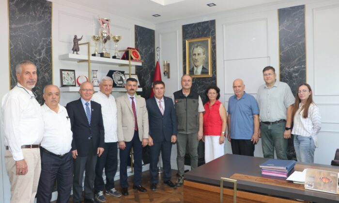 Seyitgazi’de yanan ormanların yerine yeniden ağaçlandırma çalışmaları yapılacak