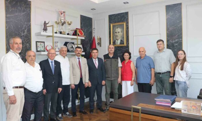 Seyitgazi’de yanan ormanların yerine yeniden ağaçlandırma çalışmaları yapılacak