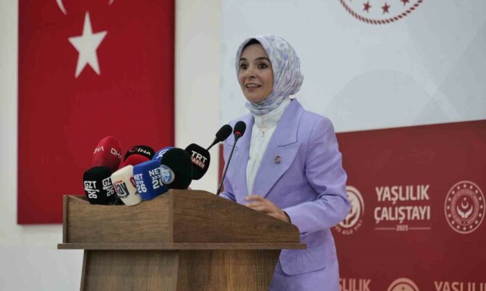Türkiye’de yaşlı nüfus oranı yüzde 10,6 seviyesine ulaştı