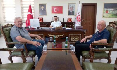 Emirdağ ve köylerinde başıboş köpekler toplatılıyor