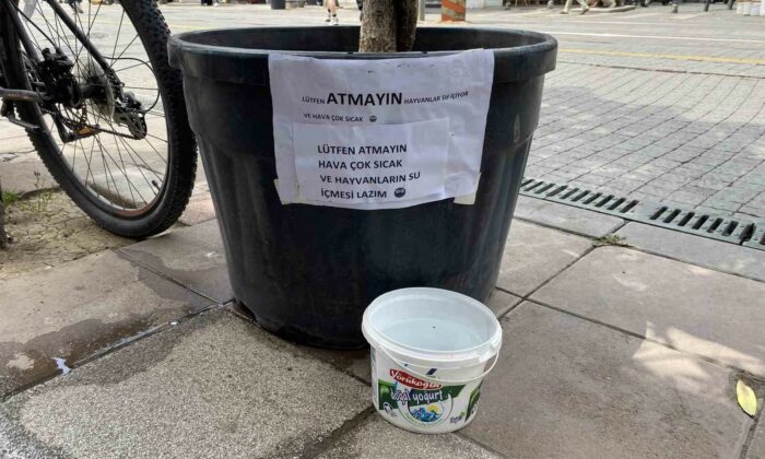 Hayvansever vatandaşın kibar uyarı yazısı görenleri gülümsetti