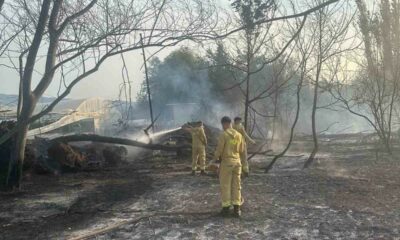 Anız yangınına itfaiye ekipleri müdahale etti