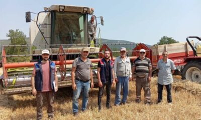 Gölpazarı’nda hasat kontrolleri tüm hızıyla sürüyor