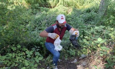 Simav Gölcük Yaylasına piknikçilerin attığı çöpler “pes” dedirtti