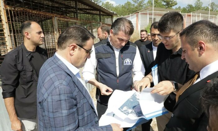 Kütahya Valisi Işın, “Sahipsiz hayvanlara yönelik hizmetler toplumsal duyarlılığın bir göstergesidir”