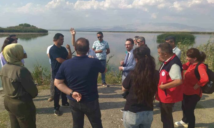 Eber ve Akşehir göllerine eylem planına yönelik çalışmalar sürüyor