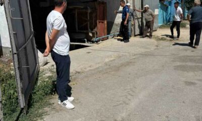 Yem kırma makinesine düşen işçi ağır yaralandı