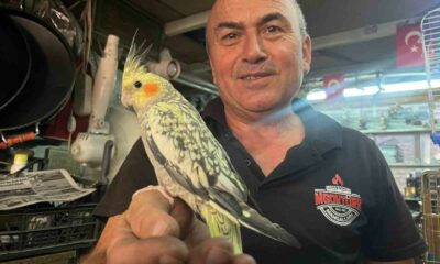 Soba ve mangal ustası Mustafa Göktürk’ün kuş sevgisi