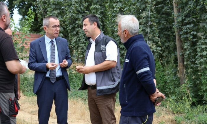Bilecik’te şerbetçi otu incelemesi: Türkiye’de sadece Pazaryeri’nde yetişiyor