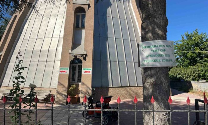 Ağaçlarda çevreye duyarlılık mesajları