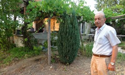 Bahçesine sürekli geyik giren vatandaş çaresiz