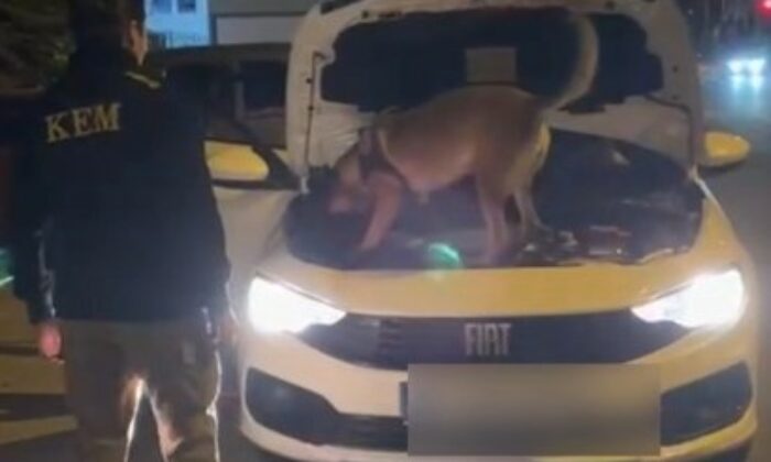 Kütahya’da 3,5 kilo kokain ele geçirildi, şüpheli 2 kişi tutuklandı