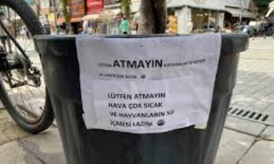 Hayvansever vatandaşın kibar uyarı yazısı görenleri gülümsetti