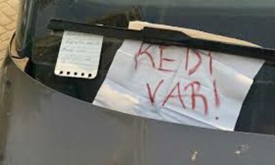Otomobilin kaputunda mahsur kalan kediyi kurtarmak için mahalleli seferber oldu