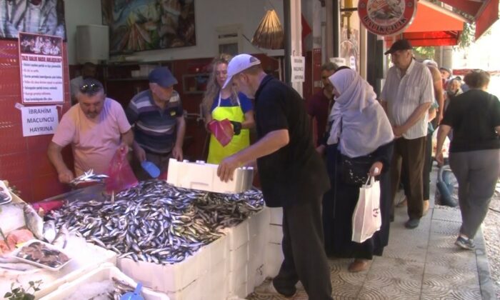 Kandilde bu sefer lokma yerine 1 ton hamsi ücretsiz dağıtıldı