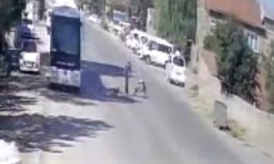 Köpeklerimi sen mi şikayet ettin”diyerek yaşlı adamı tekme tokat dövdü