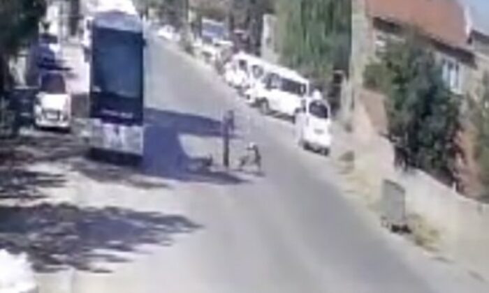 Köpeklerimi sen mi şikayet ettin”diyerek yaşlı adamı tekme tokat dövdü