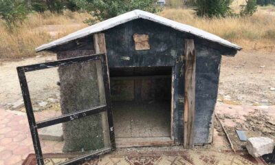 Cinayete kurban giden şahsın kuşları beslediği kafes boş kaldı