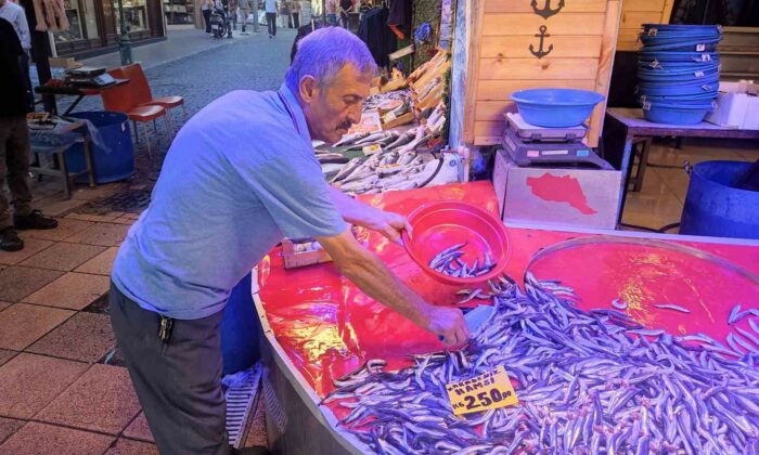 Yeni sezon Eskişehir balık pazarını canlandırdı