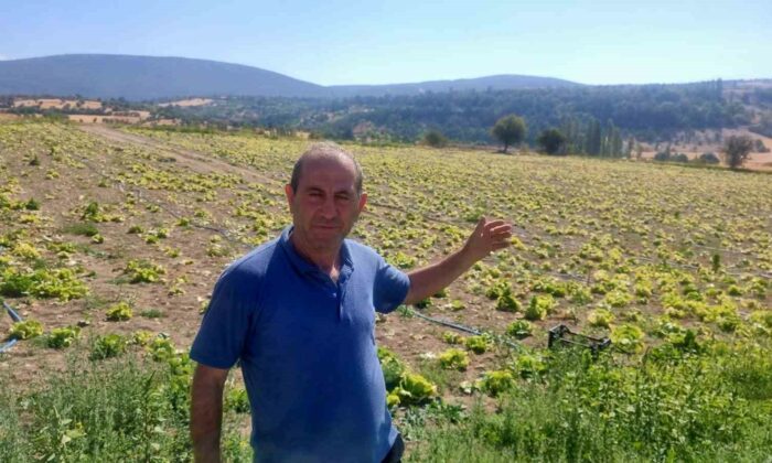 Çukurca Göleti sulama sistemindeki arızalar çiftçileri zor durumda bıraktı