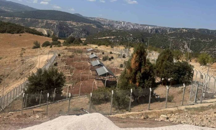 Sokak Hayvanları Doğal Yaşam Alanı’nı ruhsatsız çıktı