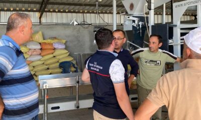 Emet’te selektör tesisinde inceleme